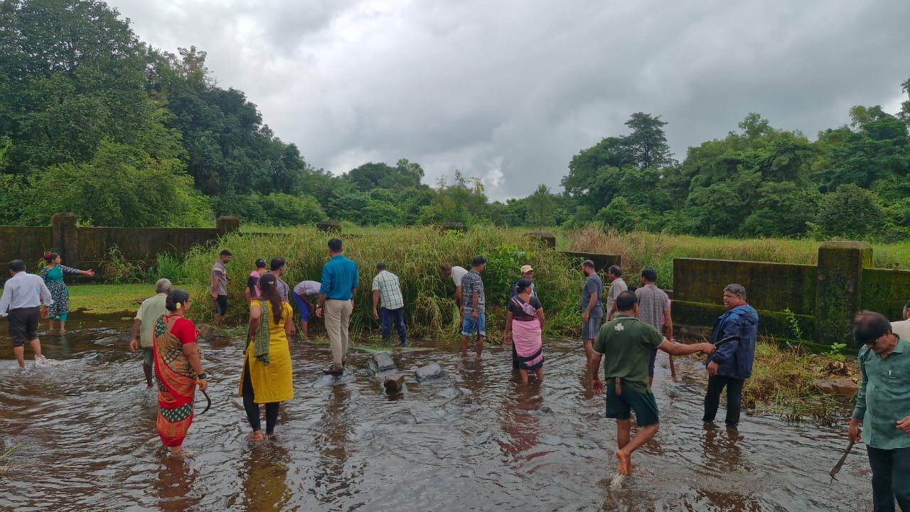 उमाळा स्वच्छता