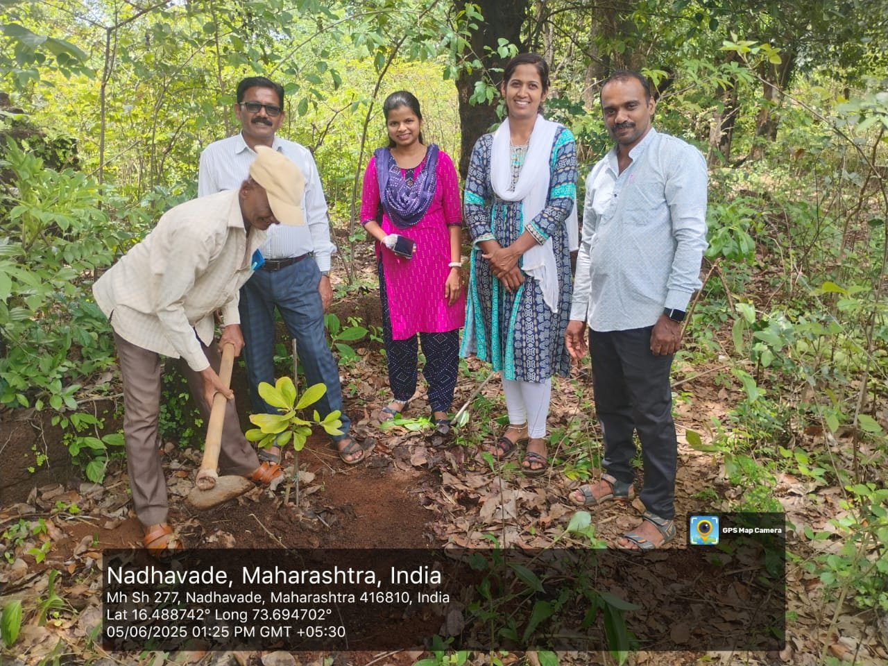 वृक्षारोपण
