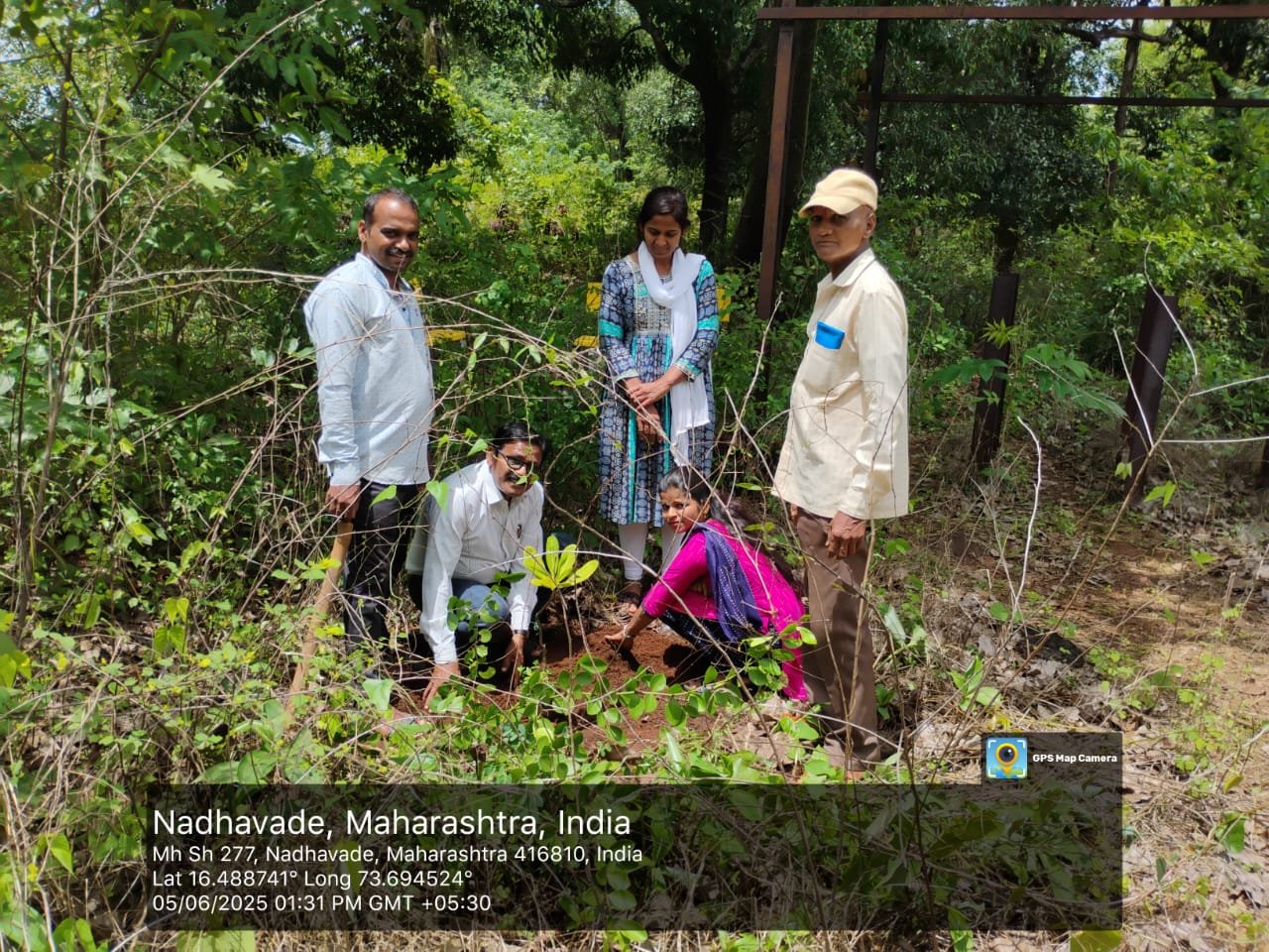 वृक्ष लागवड